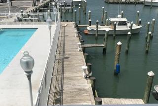 White Marlin 105B - 6