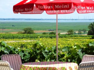 Gasthof-Pension Wein - Breitenbrunn - 9