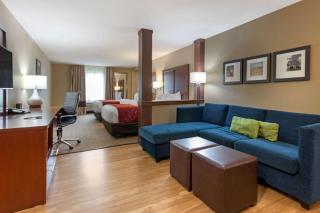 Comfort Suites Billings - Billings - 5