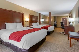 Comfort Suites Billings - Billings - 0