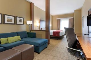 Comfort Suites Billings - Billings - 2