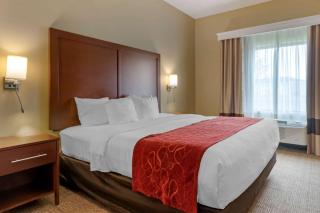 Comfort Suites Billings - Billings - 1