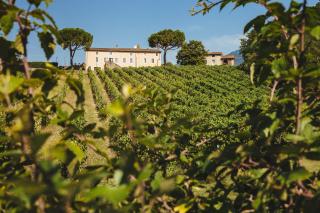 Fattoria Camigliano, Luxury Farmhouse with Pool inside a Wine Estate - Capannori - 5
