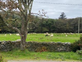 Seaside Cottage - Valentia Island - 7