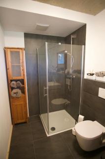 Apartment im Wanderparadies Siebengebirge - Königswinter - 1