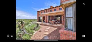 4 Zwaan - Jeffreys Bay - 2