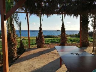 Palmhouses - Afiartis - 8