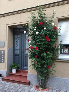 JETHON Familien-Appartement Nienburg - 8