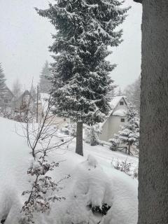 Vila Leni Kopaonik - 6