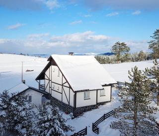 Vila Jela Tornik - Zlatibor - 4