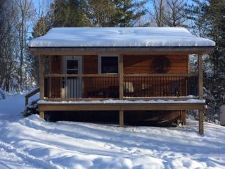Serene Westside Tiny Cabin - 6