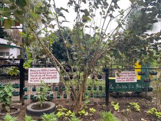 The Family Farm Stay - 5