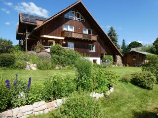 Ferienwohnung Mattenweg 1a - Hinterzarten - 9