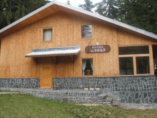 Elitza Villa - Pamporovo - 8
