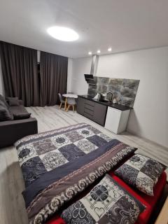 K-Town - Apartments ViaBaltic Kaunas - Kaunas - 2
