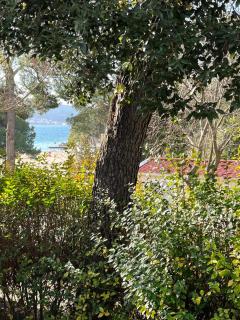 ESTRADA mobile home - Biograd na Moru - 1