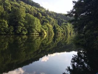 Gasthaus Balduin, mitten in der Natur, direkt am Fluss - Balduinstein - 8