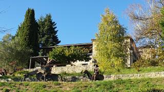 Là-Haut "Maison d'hôtes" - Antraigues - 2