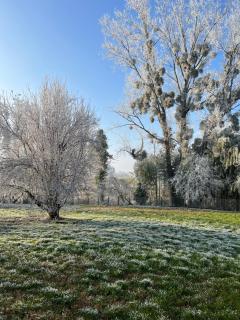 Relais d’Arbigny - Arbigny - 9