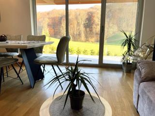 Holiday Home Hanna Toplice Sveti Martin - Sveti Martin na Muri - 4