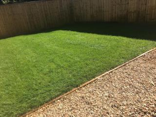 Caerau Gardens - Newport - 7