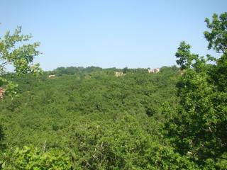 CAMPING LES GRAVES - Cabane TITHOME - Saint-Pierre-Lafeuille - 4