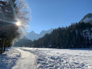 House Alpine Rose - Mojstrana - 5