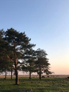 Modern one bedroom flat with sunset views, self check-in - Pärnu - 2