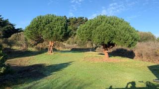 Maison 100 m plage, 2 kms du port - L'Ile d'Yeu - 5