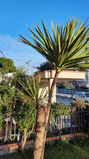 Casa di Checco - San Benedetto del Tronto - 2