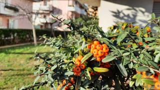 Casa di Checco - San Benedetto del Tronto - 3
