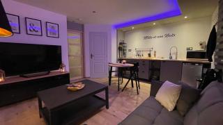 Mille et une nuit, appartement classé 3 étoiles en RDC avec exterieur et parking - Dole - 8