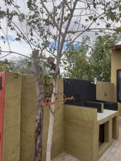 Ann's Lodge & Camping - Kamanjab - 7