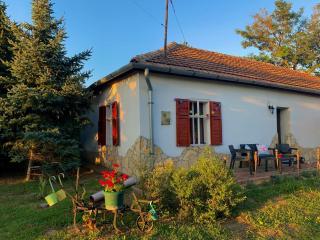 Tiszai Fenyves Apartman - Tiszadorogma - 3