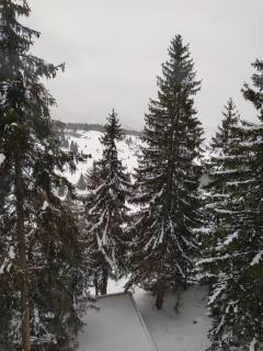 Apartman Hare - Vlasic - 1