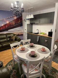 Apartament Kościuszki 1 M15 - Krynica-Zdrój - 6