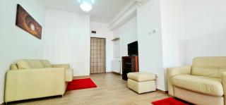 Red Accommodation near Palas Mall - Iaşi - 8