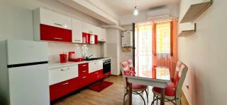 Red Accommodation near Palas Mall - Iaşi - 7