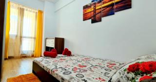 Red Accommodation near Palas Mall - Iaşi - 2