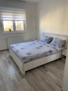 Apartmani Milić Banja Koviljača - 1