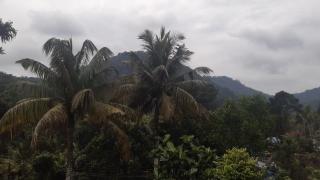 Himadri munnar holidays - Munnar - 5