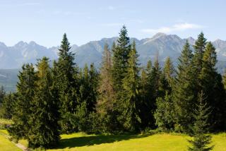 Zespół Tatry - Hotel Tatry i Budynek Turystyczny - 6