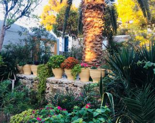 Matina Hotel - Mykonos Stadt - 3