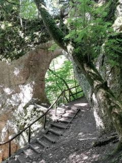 Exklusive Ferienwohnung m. Terrasse, ruhig gelegen - 1