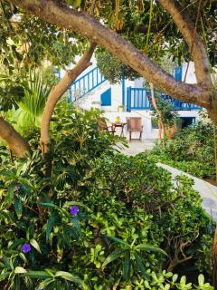 Matina Hotel - Mikonos - 8