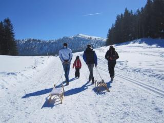 Ferienwohnungen Ortner-Hof inkl. Chiemgaukarte - Ruhpolding - 4