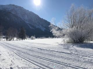 Ferienwohnungen Ortner-Hof inkl. Chiemgaukarte - Ruhpolding - 1