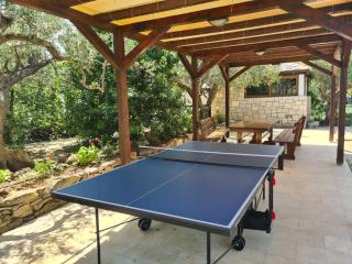 Stone Villa Olea - Holiday house in olive grove - Supetar (San Pietro di Brazza) - 3