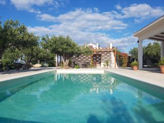 Stone Villa Olea - Holiday house in olive grove - 8