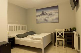 Hotel Frankenthaler Hof - Frankenthal - 4